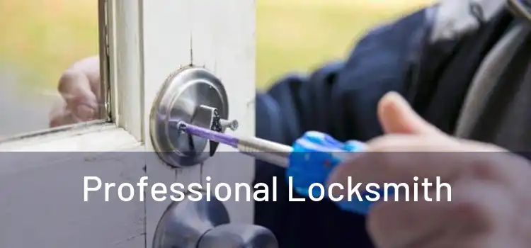  Professional Locksmith 